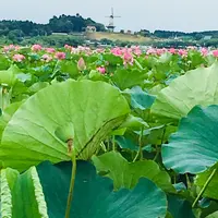 長沼の写真・動画_image_213284