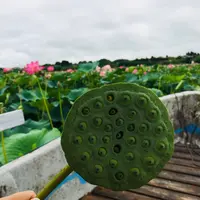 長沼の写真・動画_image_213286