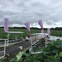 長沼の写真・動画_image_213287