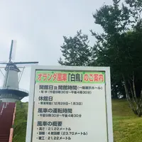 登米町森林公園（オートキャンプ場）の写真・動画_image_213333