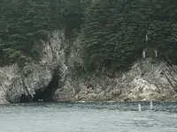 浄土ヶ浜の写真・動画_image_213404