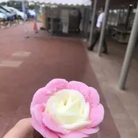 道の駅おが オガーレの写真・動画_image_213414