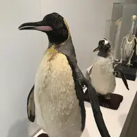 男鹿水族館GAOの写真・動画_image_213417