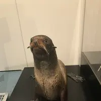 男鹿水族館GAOの写真・動画_image_213422