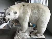 男鹿水族館GAOの写真・動画_image_213424