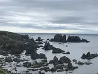 入道崎の写真・動画_image_213426