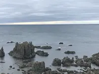 入道崎の写真・動画_image_213427
