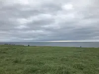 入道崎の写真・動画_image_213428