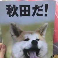 秋田駅の写真・動画_image_213433