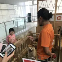 秋田駅の写真・動画_image_213436