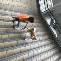 秋田駅の写真・動画_image_213439