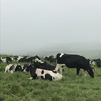音更町の写真・動画_image_213553