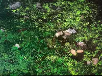 マッカウス洞窟の写真・動画_image_213676