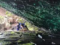 マッカウス洞窟の写真・動画_image_213677