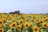 長井海の手公園ソレイユの丘の写真・動画_image_213751