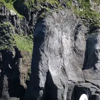 ゴジラ岩観光の写真・動画_image_213814