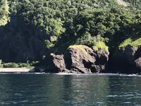 ゴジラ岩観光の写真・動画_image_213816