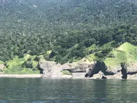 ゴジラ岩観光の写真・動画_image_213821