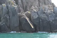 ゴジラ岩観光の写真・動画_image_213886