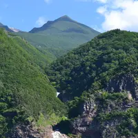 ゴジラ岩観光の写真・動画_image_213892