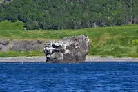 ゴジラ岩観光の写真・動画_image_213893