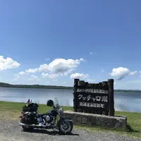 日の出岬の写真・動画_image_213919