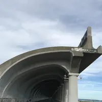 日の出岬の写真・動画_image_213928