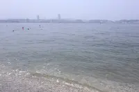 猿島の写真・動画_image_213932