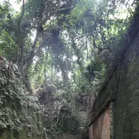 猿島の写真・動画_image_213939