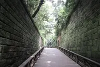 猿島の写真・動画_image_213940