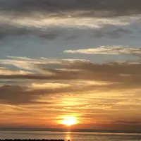 日の出岬の写真・動画_image_213946