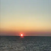 新日本海フェリー 小樽フェリーターミナルの写真・動画_image_214056