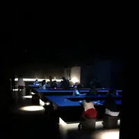 【閉業】森ビルデジタルアートミュージアム：エプソン チームラボボーダレス（MORI Building Digital Art Museum: EPSON teamLab Borderless）の写真・動画_image_214205