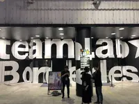 【閉業】森ビルデジタルアートミュージアム：エプソン チームラボボーダレス（MORI Building Digital Art Museum: EPSON teamLab Borderless）の写真・動画_image_214206