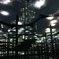 【閉業】森ビルデジタルアートミュージアム：エプソン チームラボボーダレス（MORI Building Digital Art Museum: EPSON teamLab Borderless）の写真・動画_image_214207