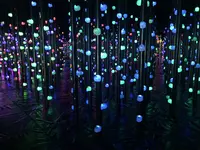 【閉業】森ビルデジタルアートミュージアム：エプソン チームラボボーダレス（MORI Building Digital Art Museum: EPSON teamLab Borderless）の写真・動画_image_214208