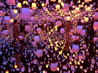【閉業】森ビルデジタルアートミュージアム：エプソン チームラボボーダレス（MORI Building Digital Art Museum: EPSON teamLab Borderless）の写真・動画_image_214211