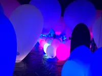 【閉業】森ビルデジタルアートミュージアム：エプソン チームラボボーダレス（MORI Building Digital Art Museum: EPSON teamLab Borderless）の写真・動画_image_214221