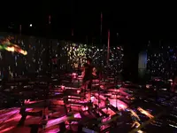 【閉業】森ビルデジタルアートミュージアム：エプソン チームラボボーダレス（MORI Building Digital Art Museum: EPSON teamLab Borderless）の写真・動画_image_214229