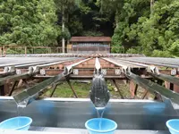 【閉業】滝流しそうめんの写真・動画_image_214393