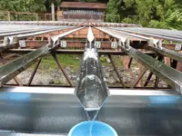 【閉業】滝流しそうめんの写真・動画_image_214394