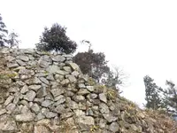 真徳寺の写真・動画_image_214427