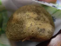 生谷温泉　伊沢の里の写真・動画_image_214431