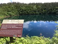 八幡平山頂レストハウスの写真・動画_image_214571