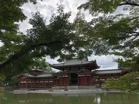 平等院の写真・動画_image_214642