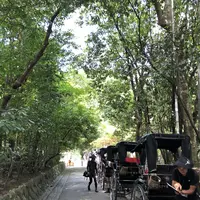 嵯峨野 竹林の道の写真・動画_image_214644
