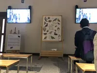 知床五湖の写真・動画_image_214648