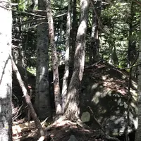 知床五湖の写真・動画_image_214650