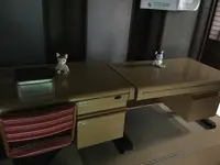 おおかみこどもの花の家の写真・動画_image_214765