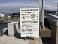 生地中橋の写真・動画_image_214784